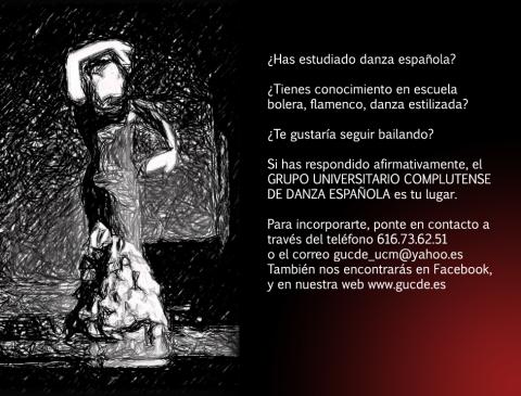 Pruebas de acceso GUCDE